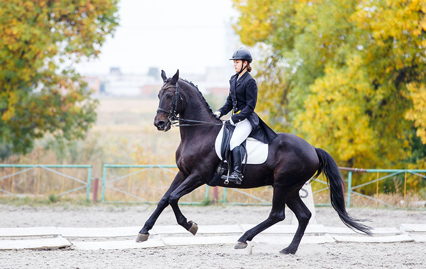 A horse showing signs of discomfort, illustrating how to recognise pain in horses